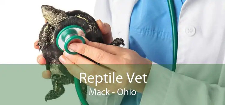 Reptile Vet Mack - Ohio