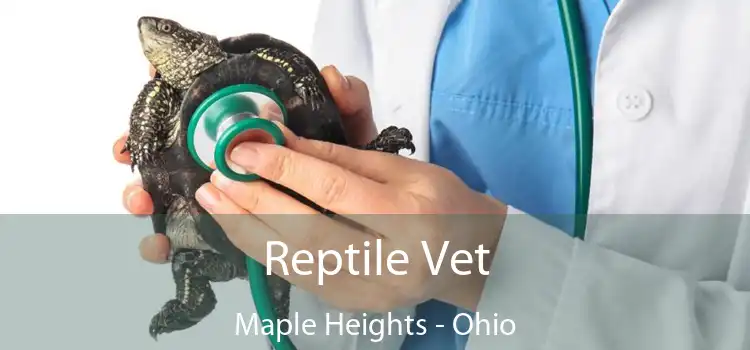 Reptile Vet Maple Heights - Ohio