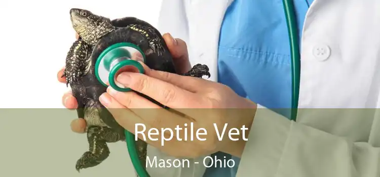 Reptile Vet Mason - Ohio