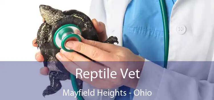 Reptile Vet Mayfield Heights - Ohio