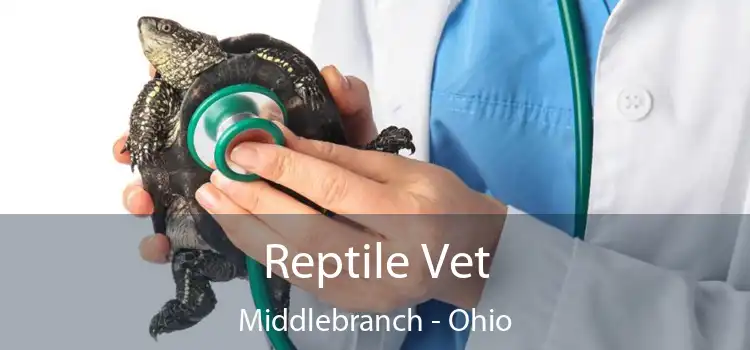 Reptile Vet Middlebranch - Ohio