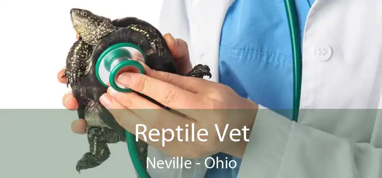 Reptile Vet Neville - Ohio