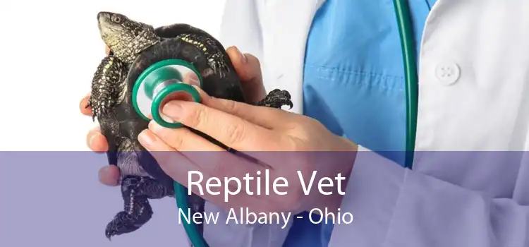 Reptile Vet New Albany - Ohio
