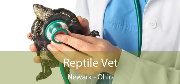 Reptile Vet Newark - Ohio