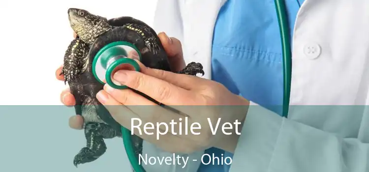 Reptile Vet Novelty - Ohio