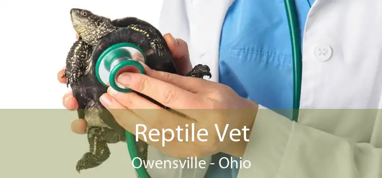 Reptile Vet Owensville - Ohio
