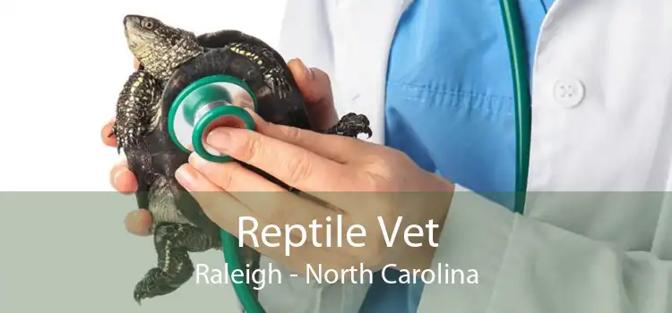 Reptile Vet Raleigh - North Carolina