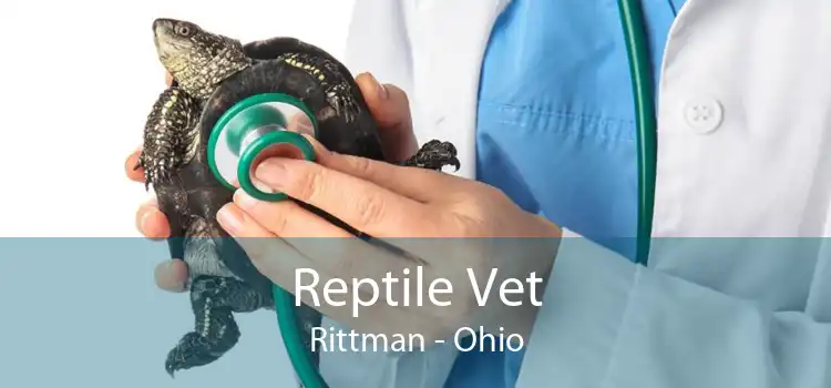Reptile Vet Rittman - Ohio