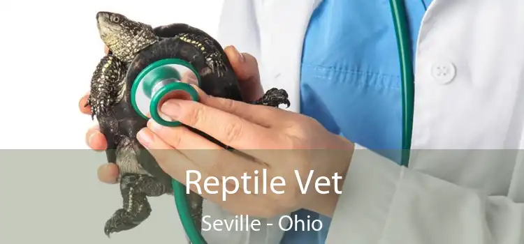 Reptile Vet Seville - Ohio