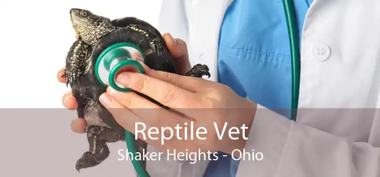 Reptile Vet Shaker Heights - Ohio