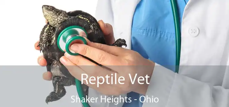 Reptile Vet Shaker Heights - Ohio