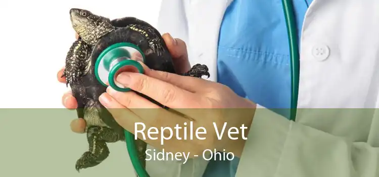 Reptile Vet Sidney - Ohio
