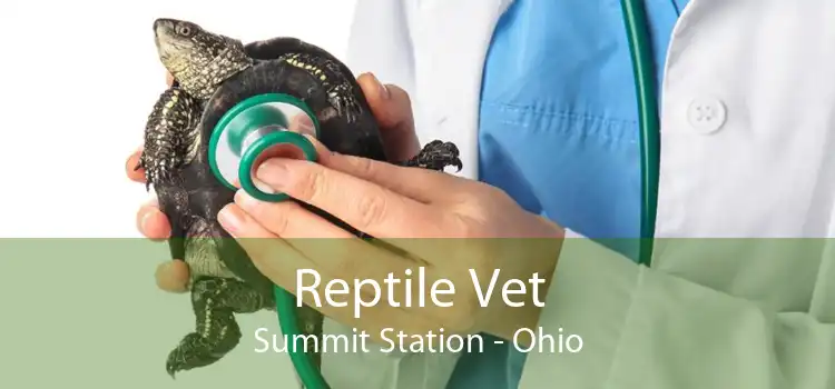 Reptile Vet Summit Station - Ohio