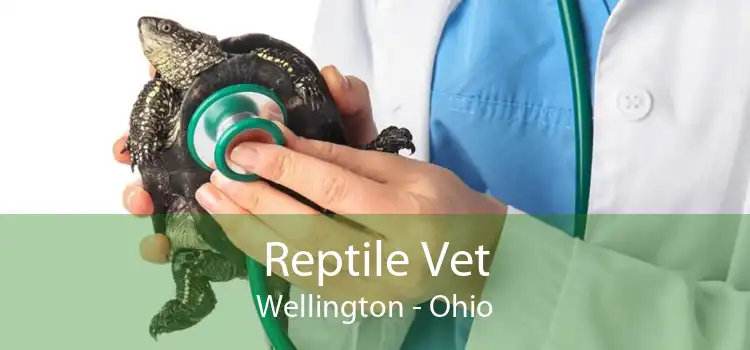 Reptile Vet Wellington - Ohio