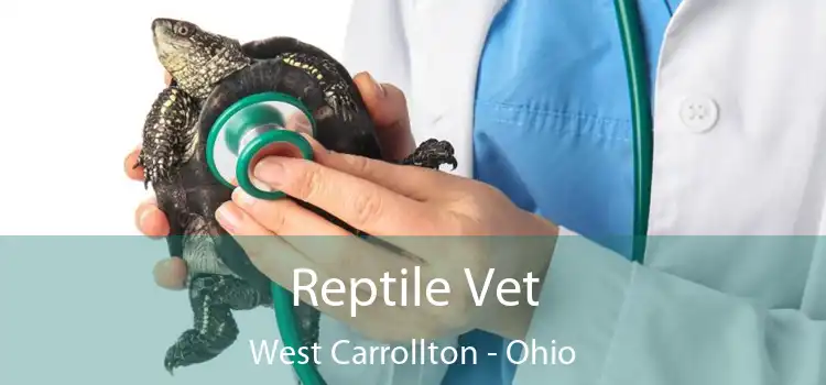 Reptile Vet West Carrollton - Ohio