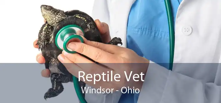 Reptile Vet Windsor - Ohio
