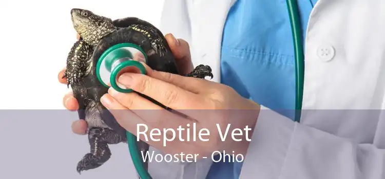 Reptile Vet Wooster - Ohio