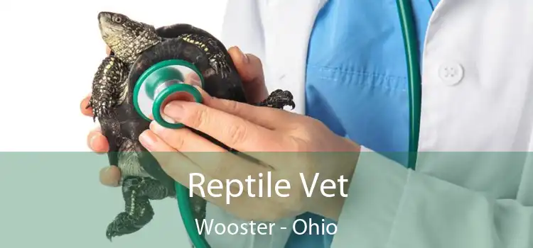 Reptile Vet Wooster - Ohio