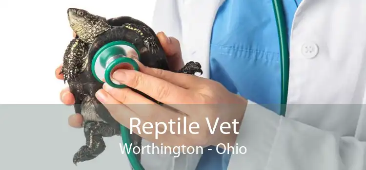 Reptile Vet Worthington - Ohio