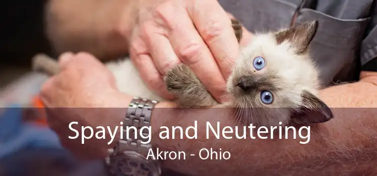 Spaying and Neutering Akron - Ohio