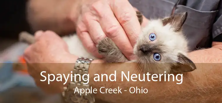 Spaying and Neutering Apple Creek - Ohio