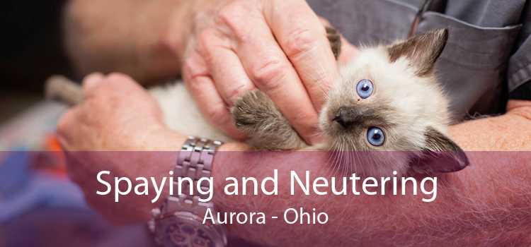 Spaying and Neutering Aurora - Ohio