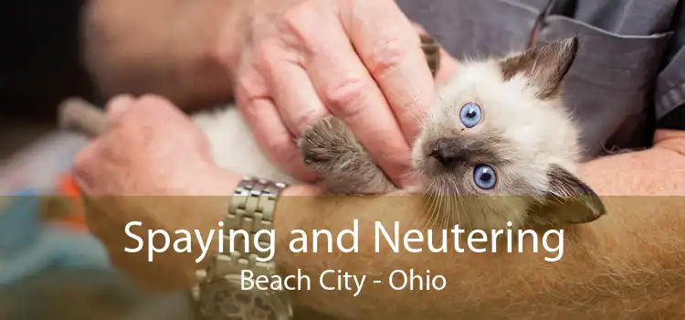 Spaying and Neutering Beach City - Ohio