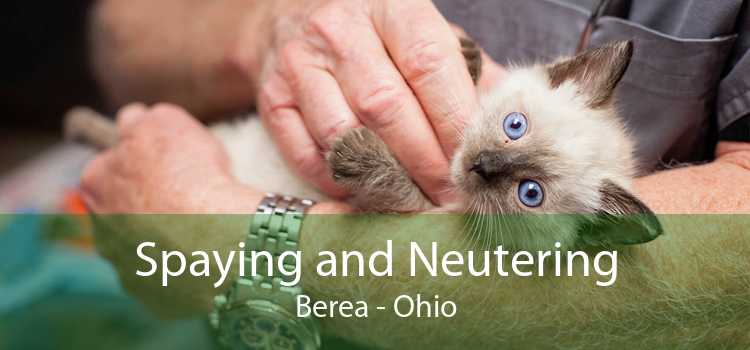Spaying and Neutering Berea - Ohio