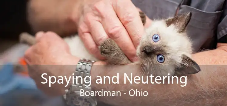 Spaying and Neutering Boardman - Ohio