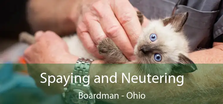 Spaying and Neutering Boardman - Ohio