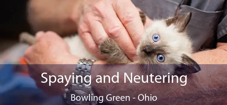 Spaying and Neutering Bowling Green - Ohio