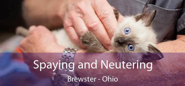Spaying and Neutering Brewster - Ohio