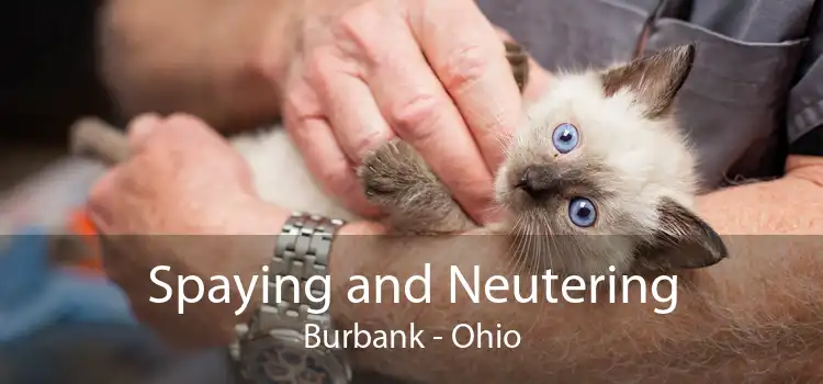 Spaying and Neutering Burbank - Ohio