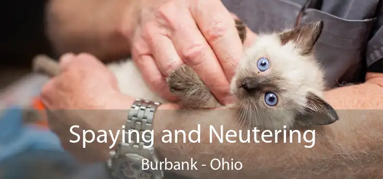 Spaying and Neutering Burbank - Ohio