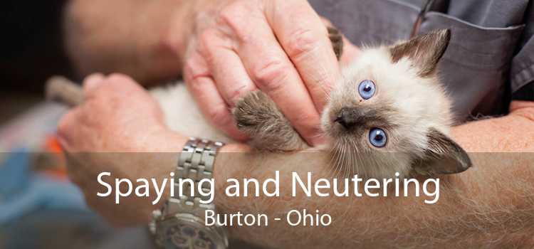 Spaying and Neutering Burton - Ohio