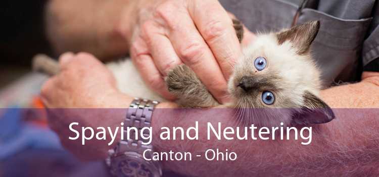 Spaying and Neutering Canton - Ohio