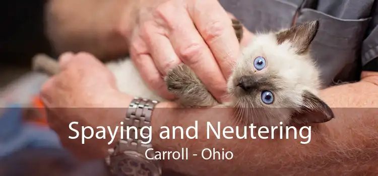 Spaying and Neutering Carroll - Ohio