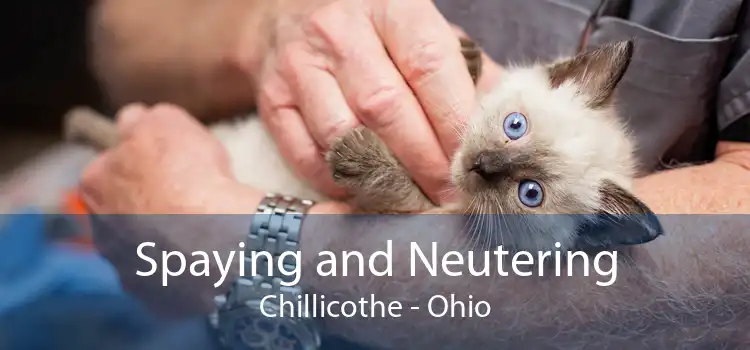 Spaying and Neutering Chillicothe - Ohio