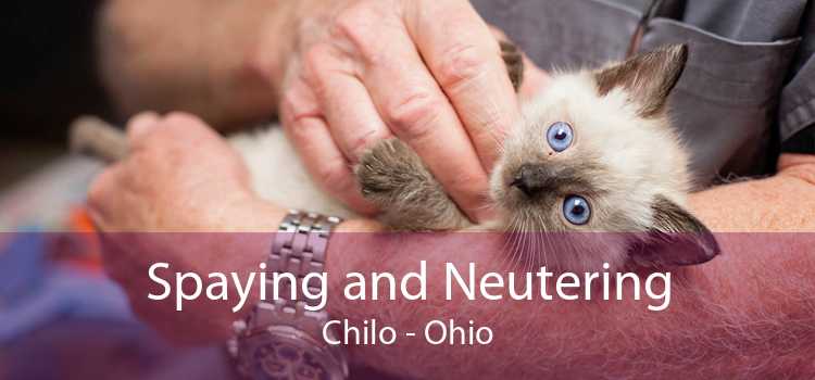 Spaying and Neutering Chilo - Ohio