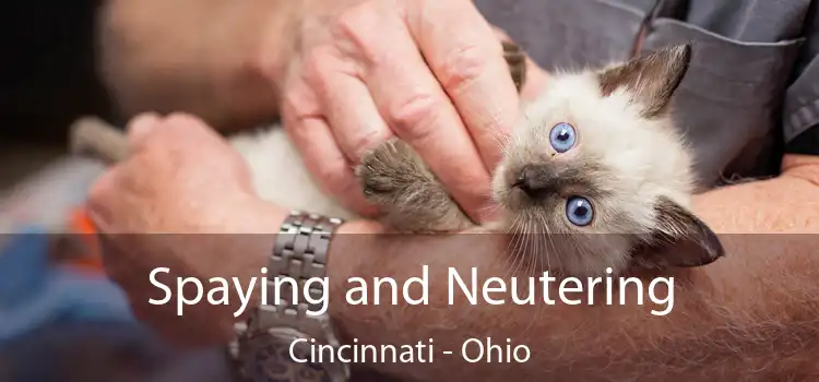 Spaying and Neutering Cincinnati - Ohio