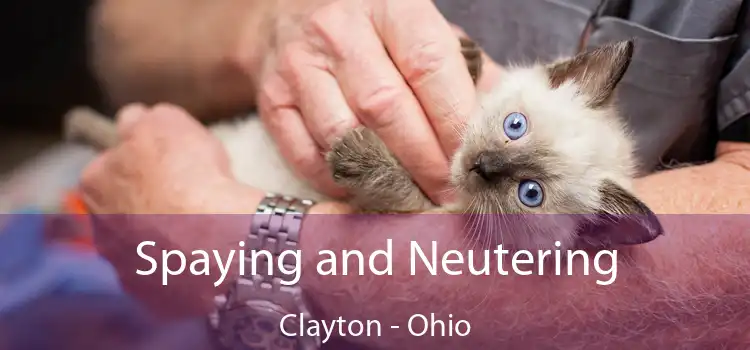Spaying and Neutering Clayton - Ohio