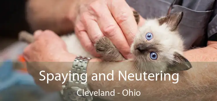 Spaying and Neutering Cleveland - Ohio