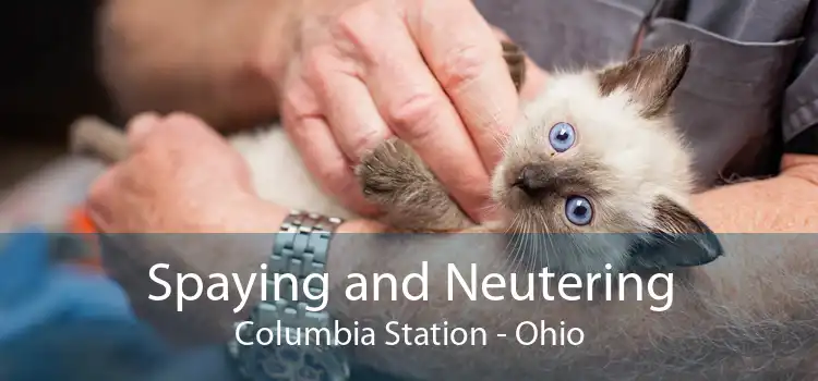 Spaying and Neutering Columbia Station - Ohio