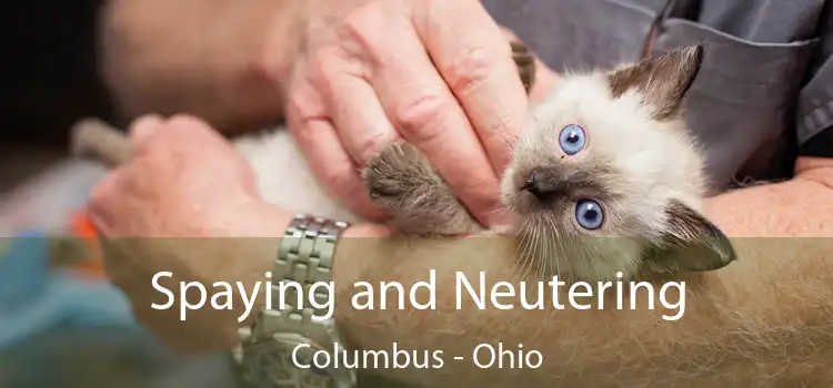 Spaying and Neutering Columbus - Ohio