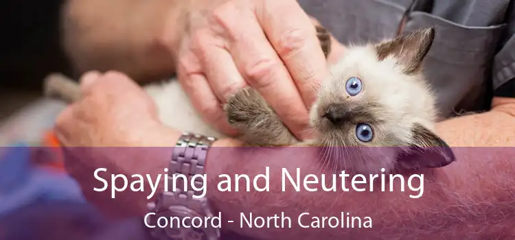 Spaying and Neutering Concord - North Carolina