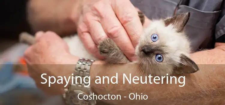 Spaying and Neutering Coshocton - Ohio