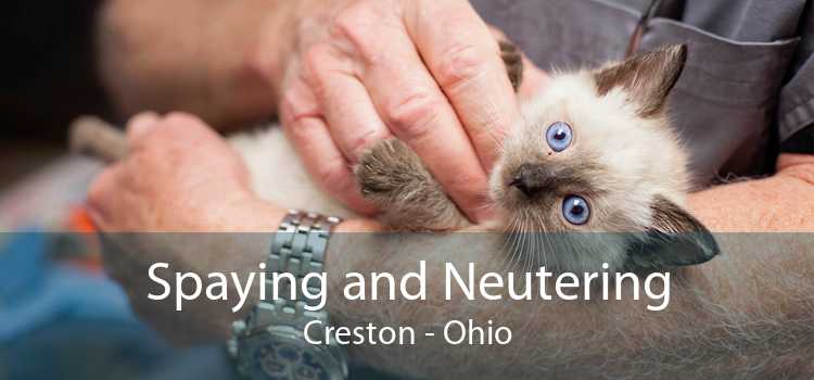 Spaying and Neutering Creston - Ohio
