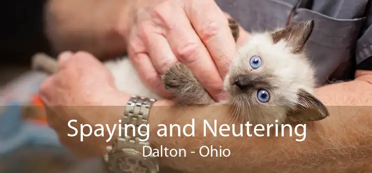 Spaying and Neutering Dalton - Ohio