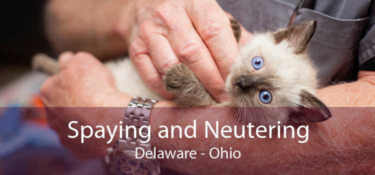 Spaying and Neutering Delaware - Ohio