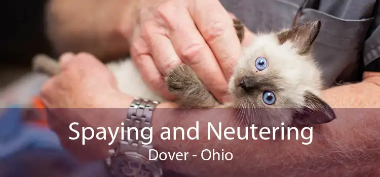 Spaying and Neutering Dover - Ohio